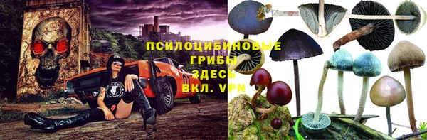 хмурый Абинск